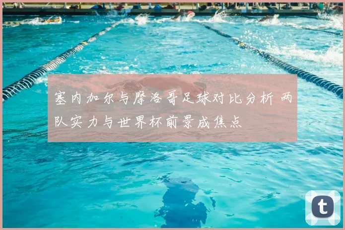 塞内加尔与摩洛哥足球对比分析 两队实力与世界杯前景成焦点