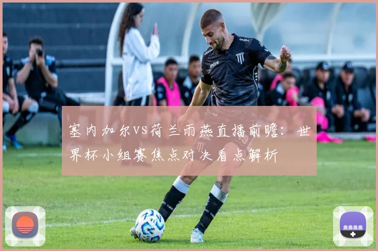 塞内加尔vs荷兰雨燕直播前瞻：世界杯小组赛焦点对决看点解析